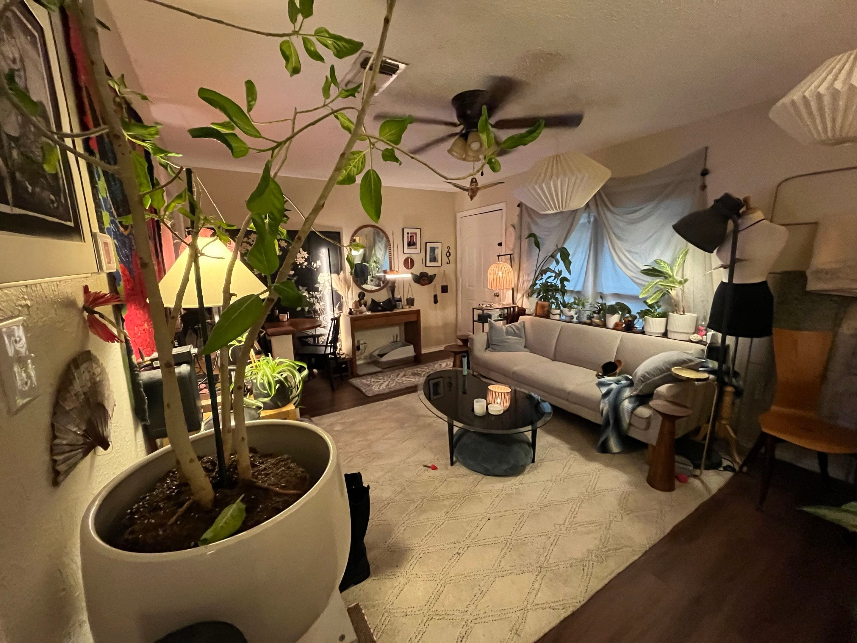 Personal Apartment Designs — photo 2